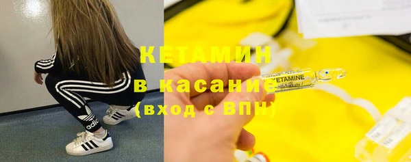 индика Нязепетровск