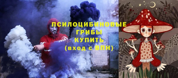 индика Нязепетровск