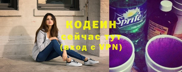 индика Нязепетровск